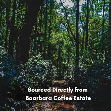 100% AA Grade Roasted Arabica Coffee Beans